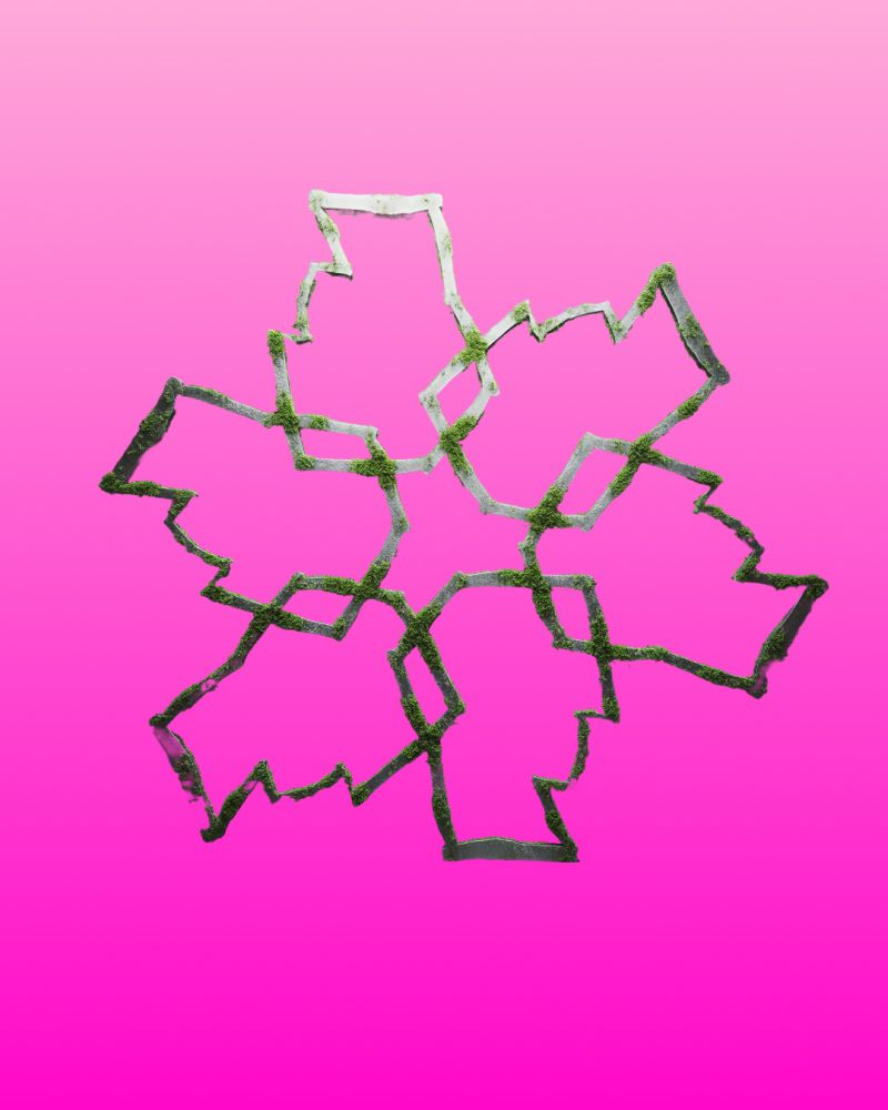 Interlocking organic outlines on a vivid pink ground