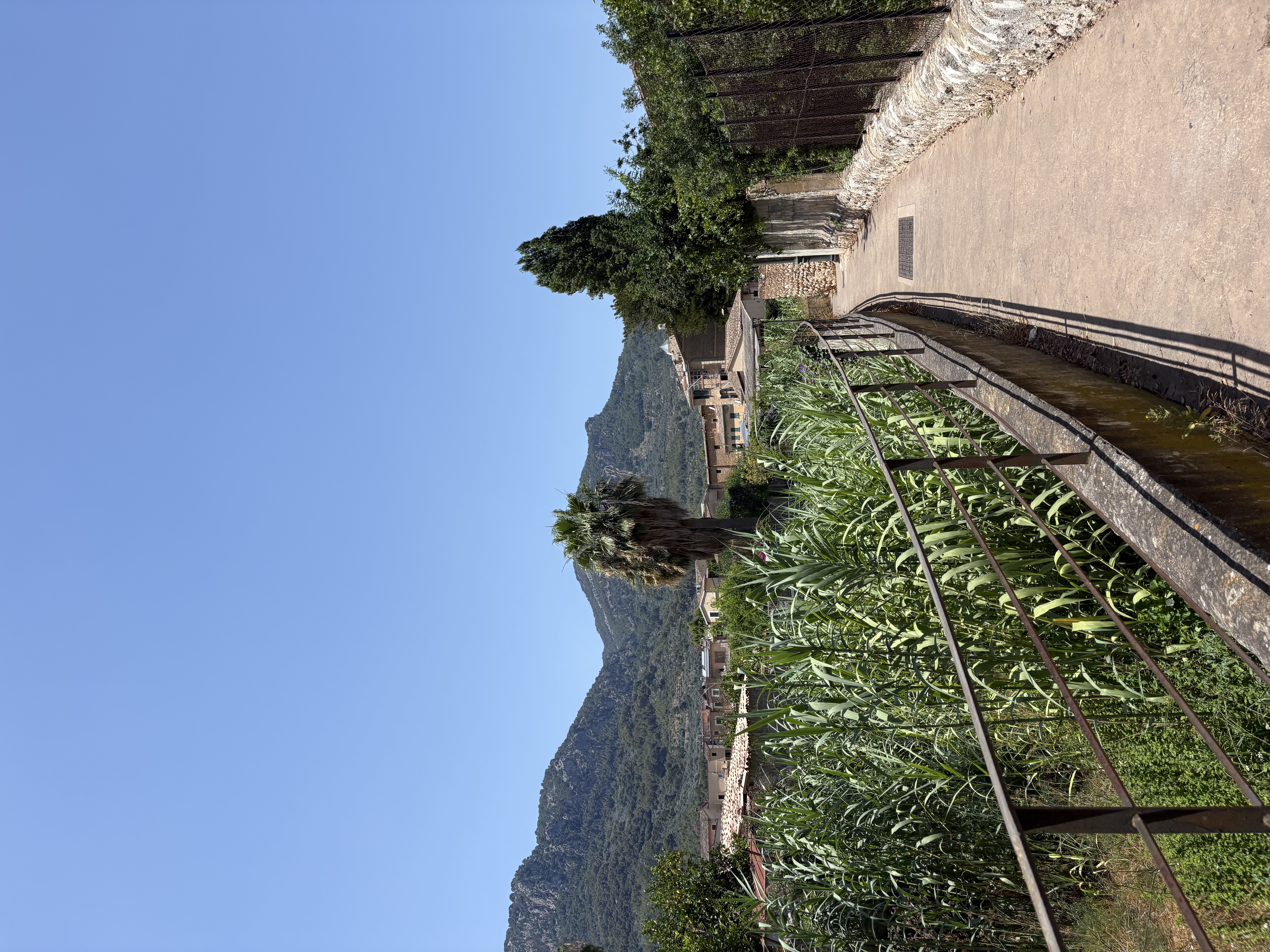 A sunlit path through greenery and mountains in Mallorca